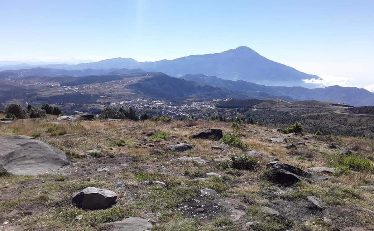 🐐HaikiZeGoat🇬🇹🐝 tweet media