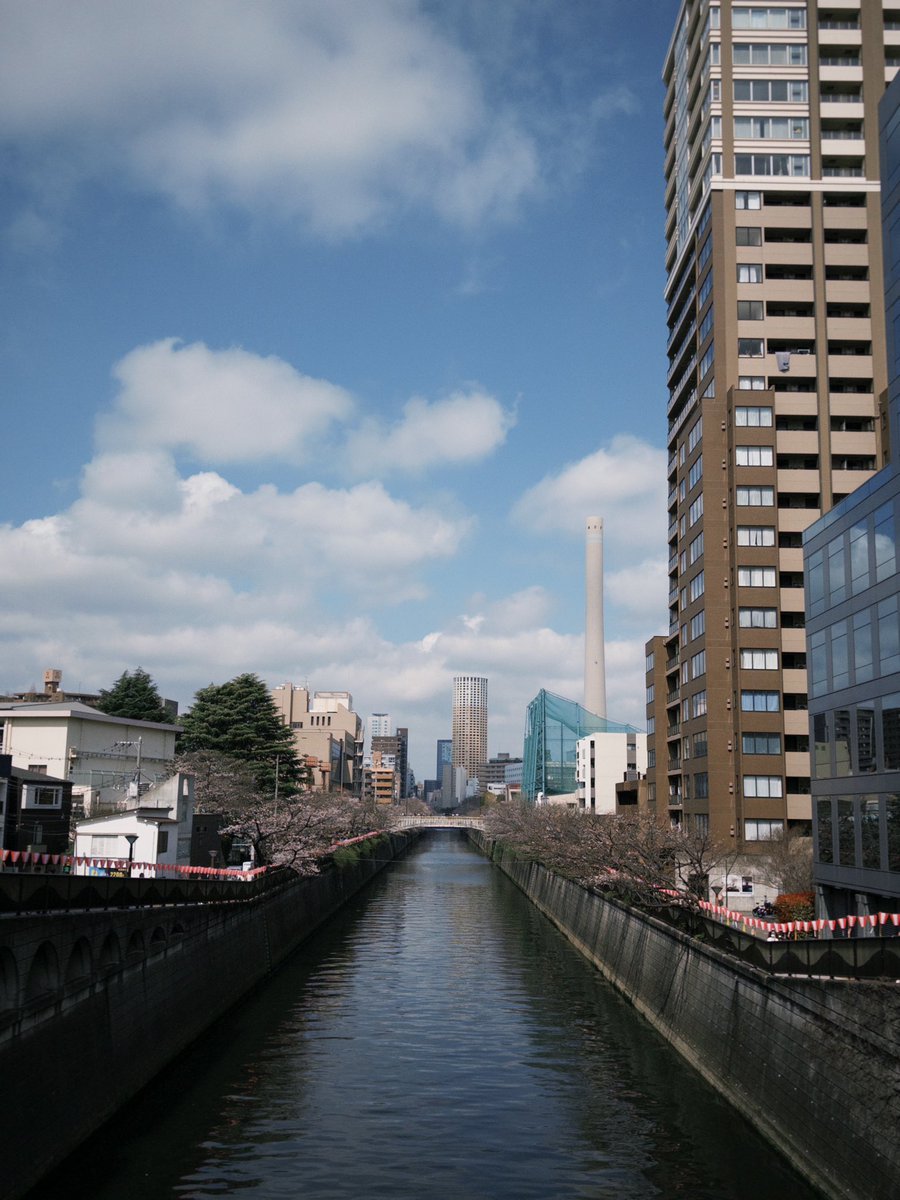 ishikawa_pro⛳️ tweet media