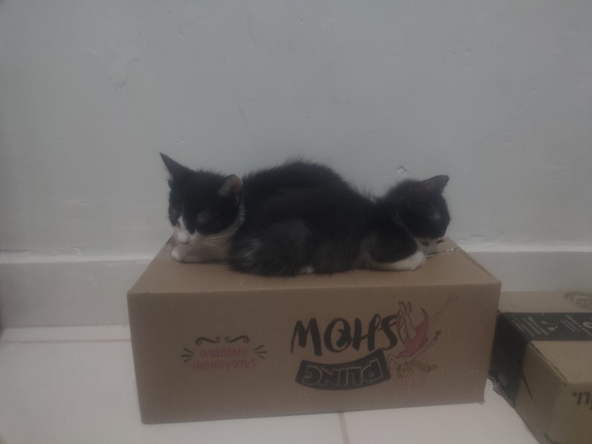 mentemaligna_magnata tweet media