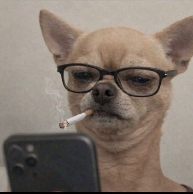 𝕹✯Ƒ𝖑𝖊𝖝✯𝕽𝖊𝖖𝖚Ꭵ𝖗𝖊ᖙ tweet media