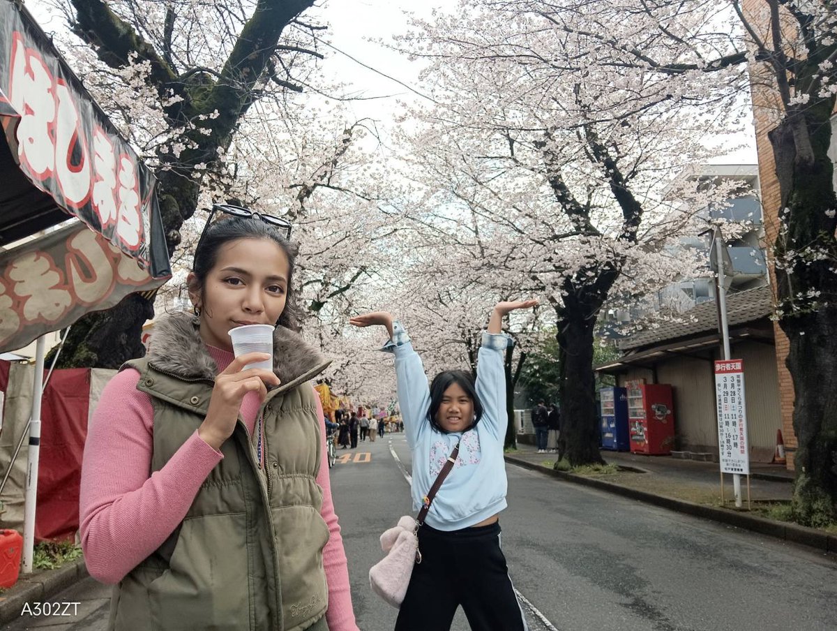 ange429818's tweet photo. #常盤平桜まつり

毎年恒例
朝から日本酒で決めてまふ🍶 https://t.co/O4XB2b4rfF