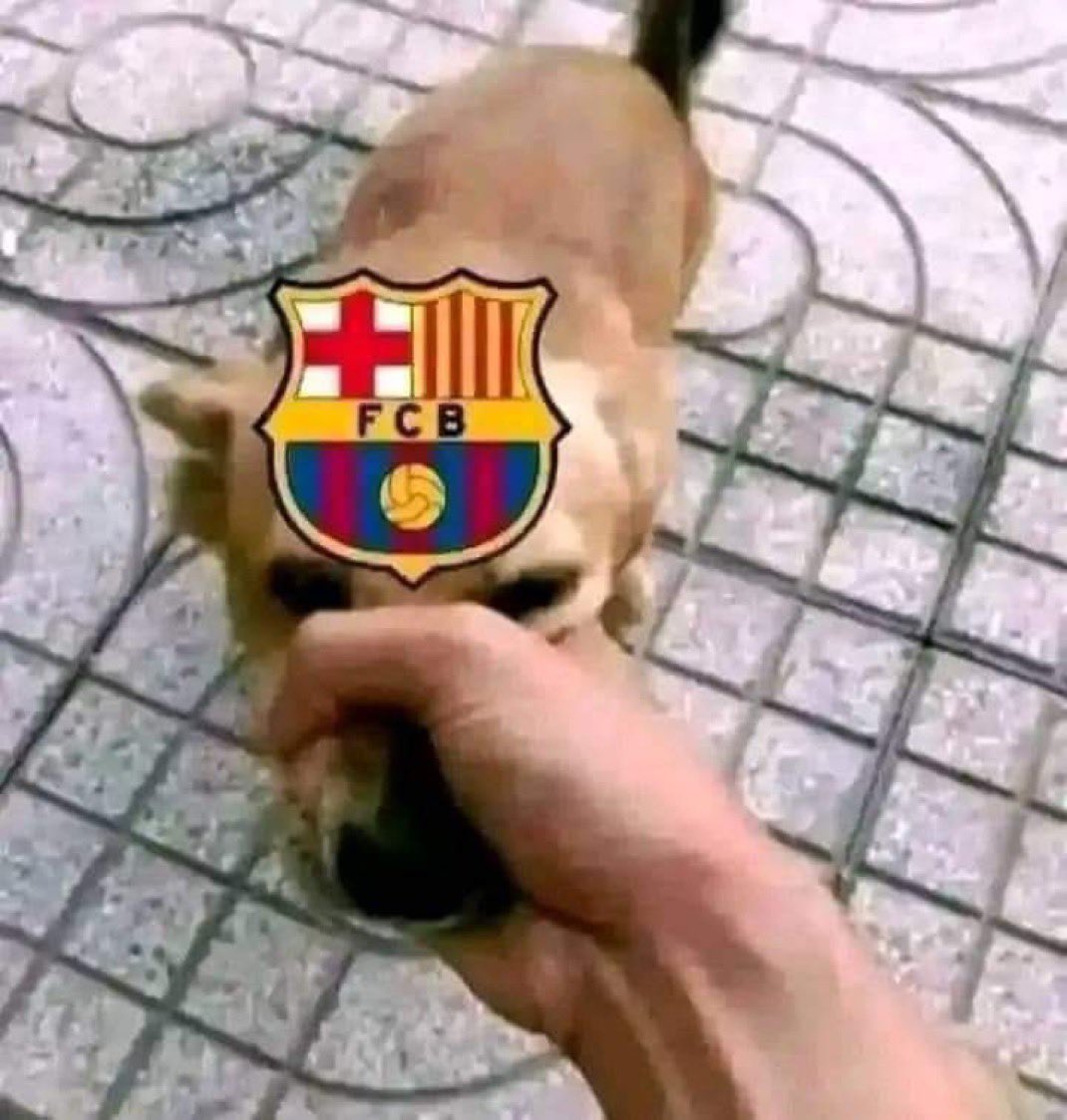 futrethekid tweet media