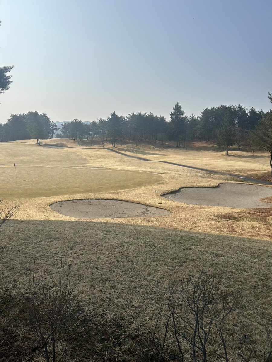 まちゅ tweet media