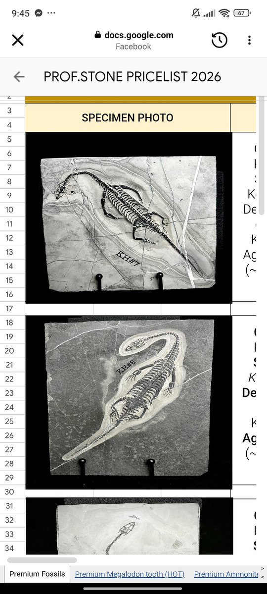 MeowMaxxer 🔞 tweet media