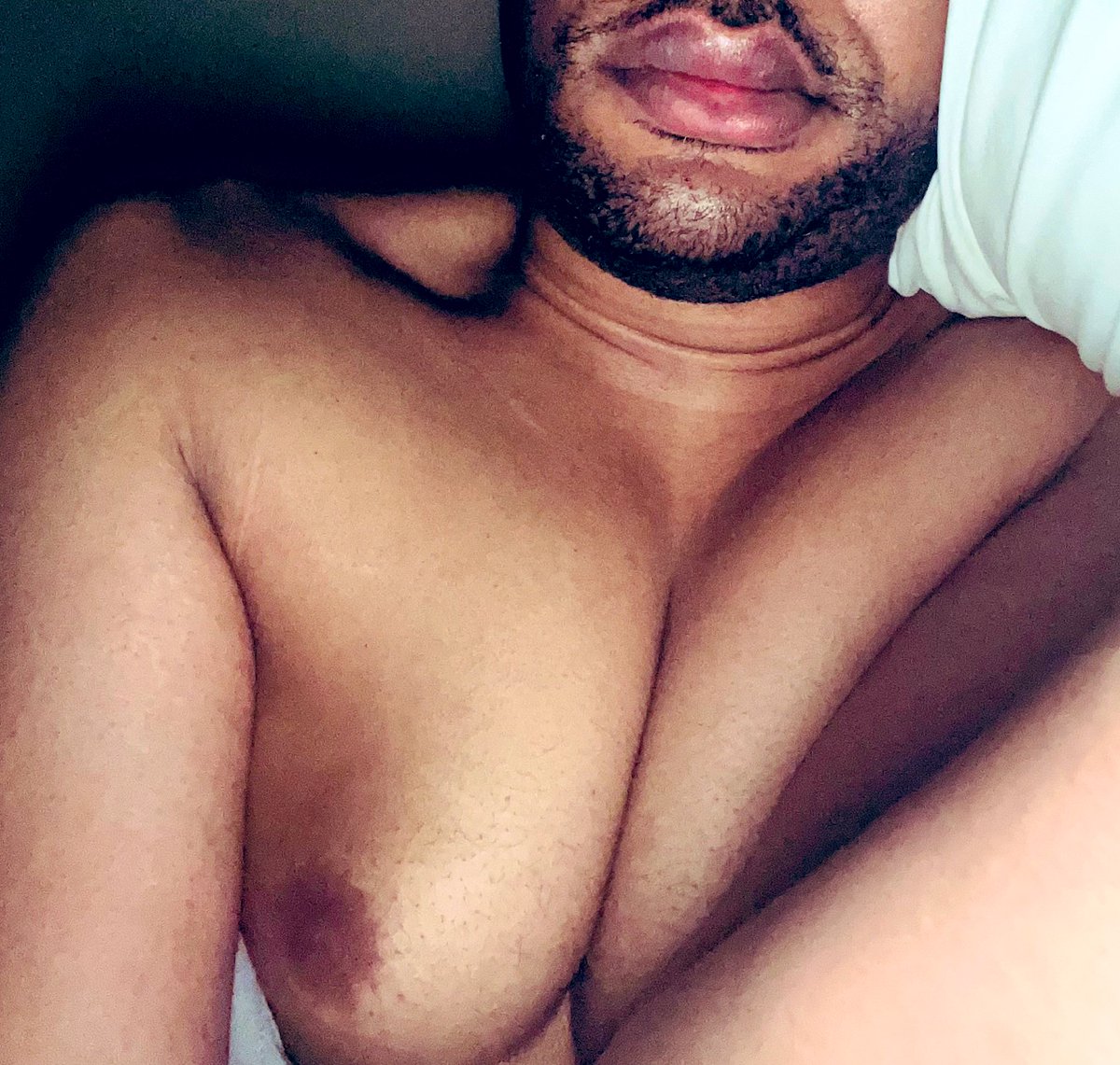 Perfect Male Breast tweet media