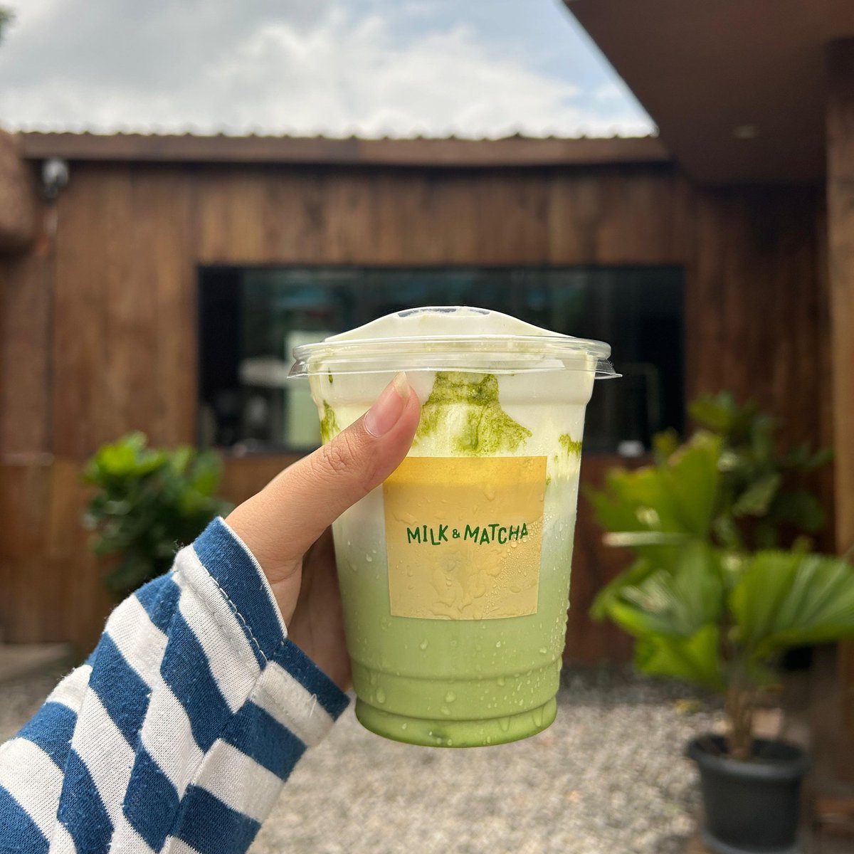 ꦩꦸꦠꦶꦪꦫ tweet media