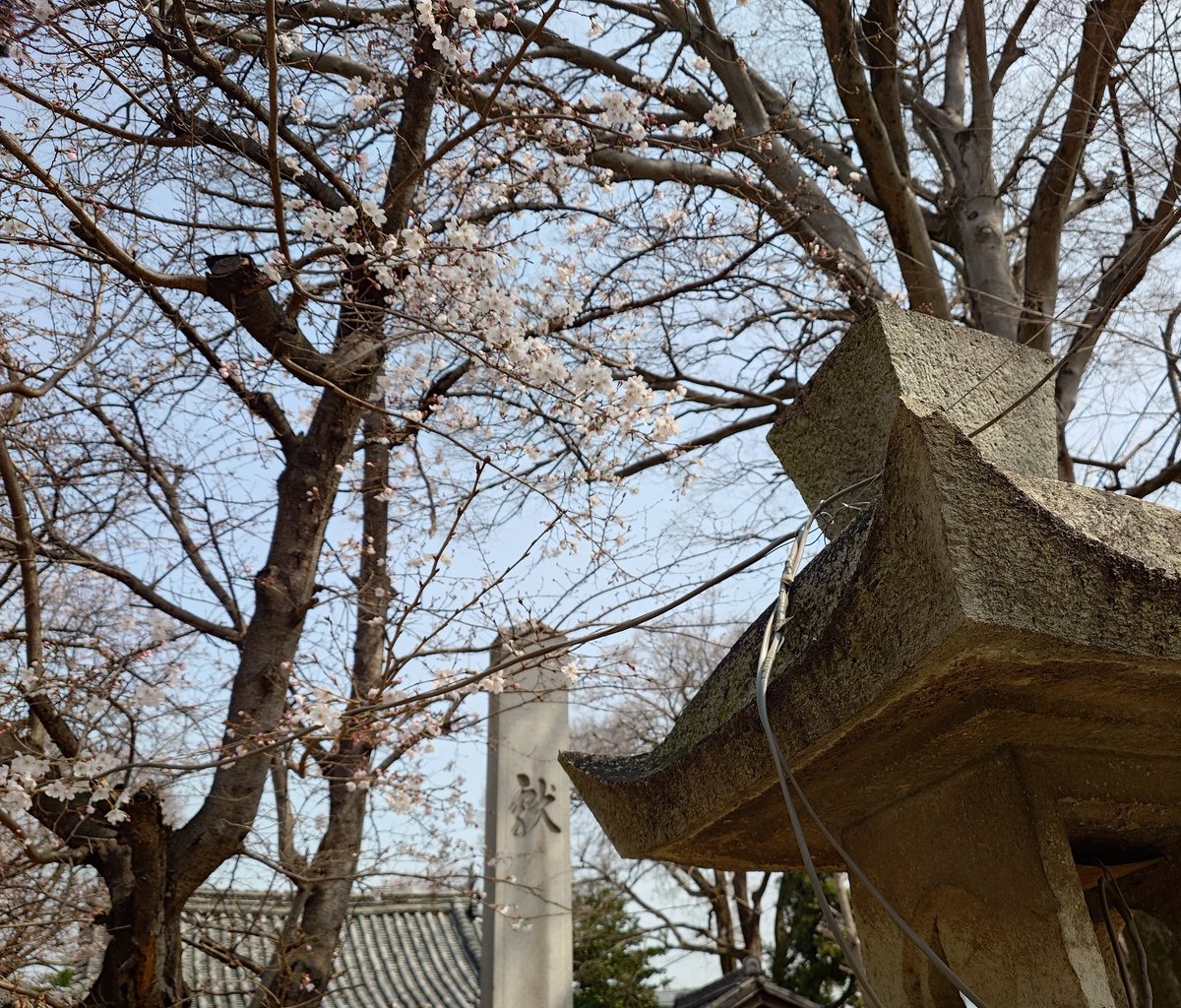 Fizz-DI＠比較と使い分け-KOJIMA Yushi tweet media