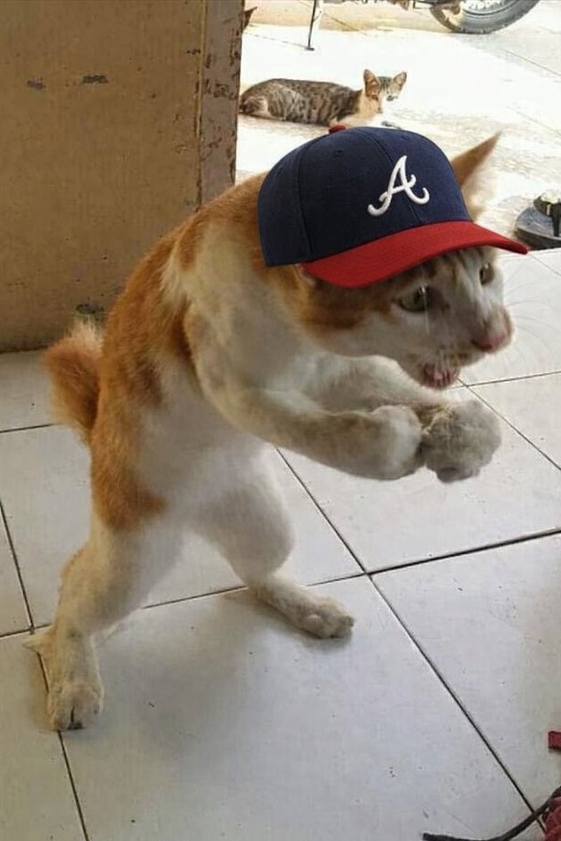 imagynations's tweet photo. @Braves LETS GOOOOO https://t.co/ASPV9ThRnz