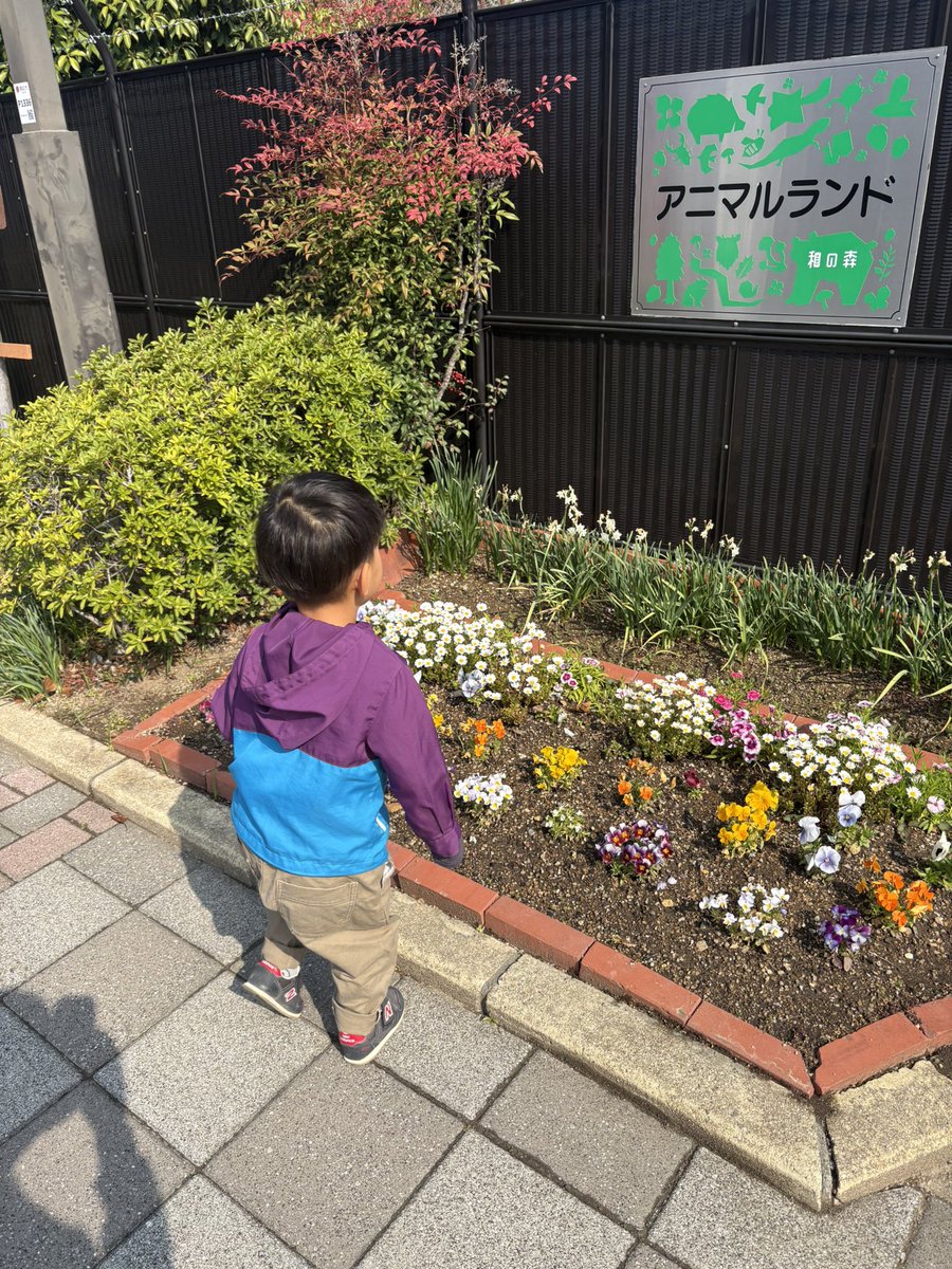 てつパパ tweet media