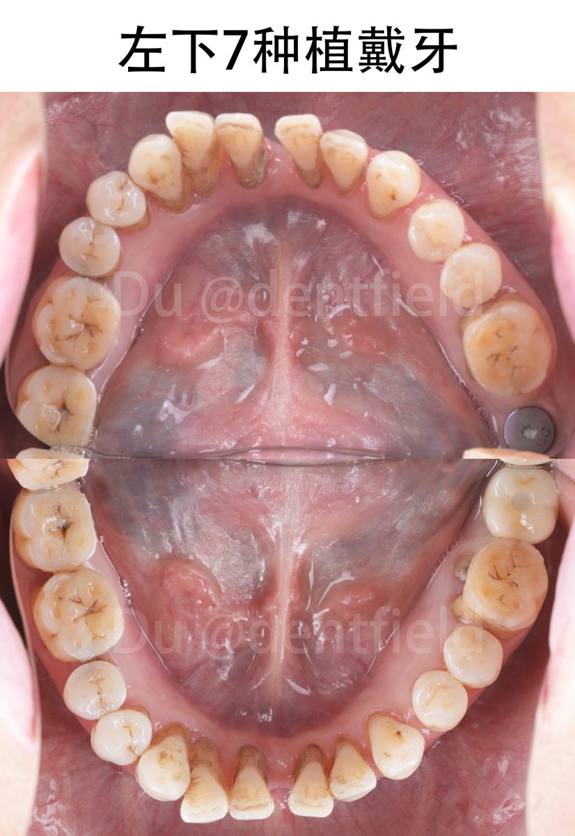 lufie🐼 tweet media