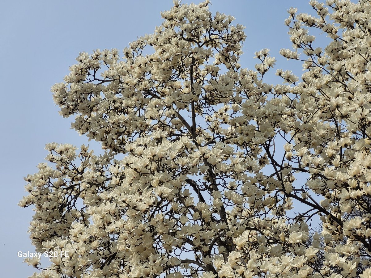 🎗2090🎗Erella tweet media