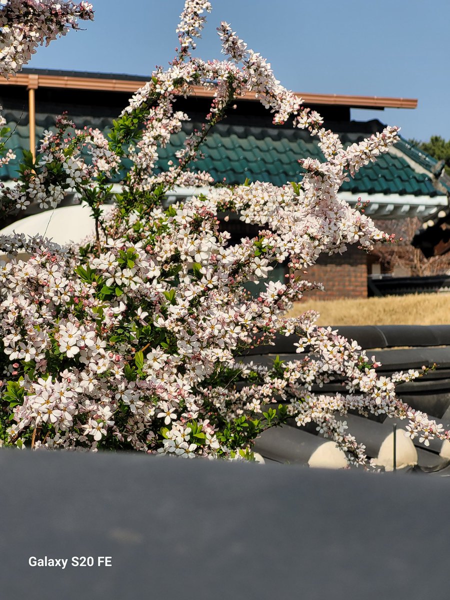 🎗2090🎗Erella tweet media