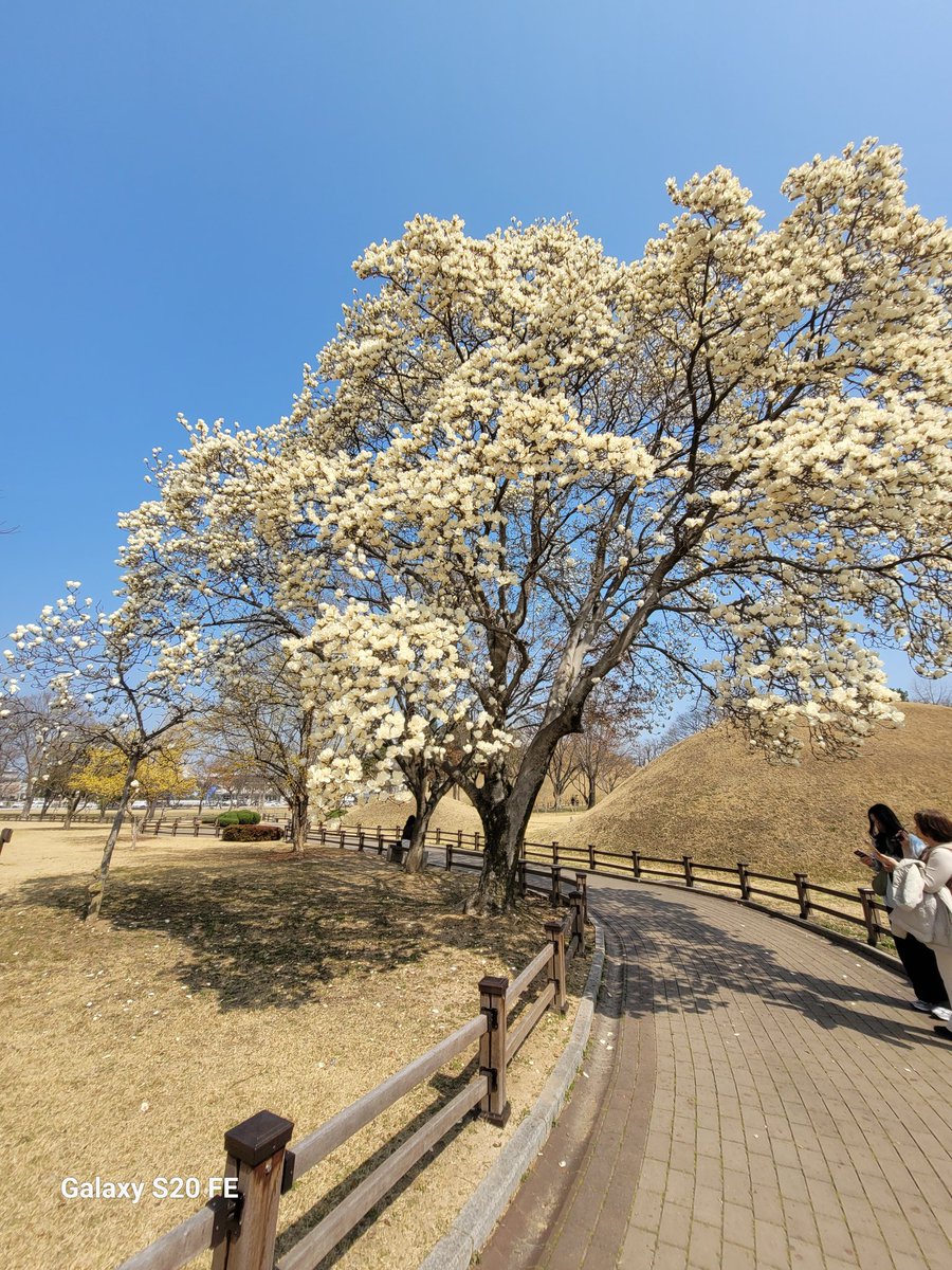 🎗2090🎗Erella tweet media