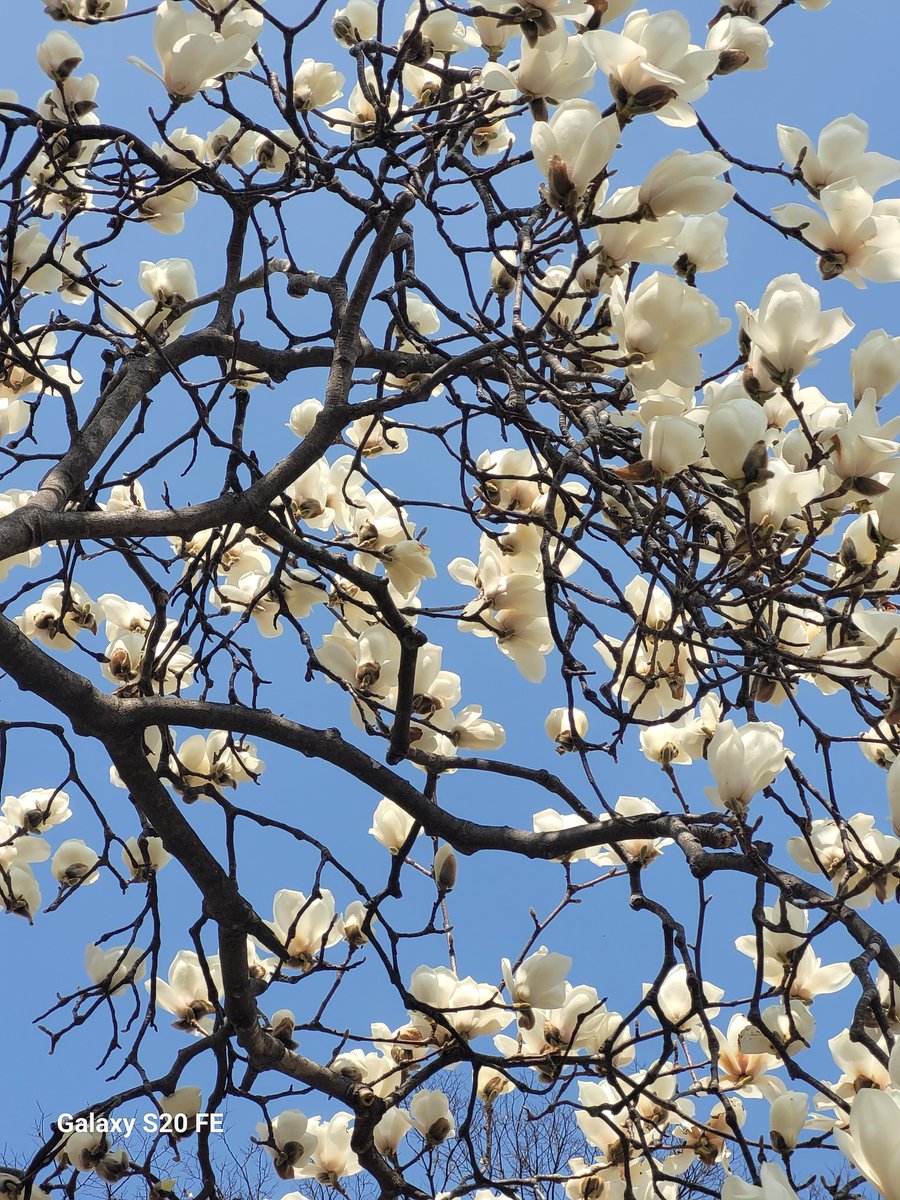 🎗2090🎗Erella tweet media