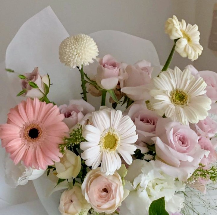 ☆カンタータ✨✨ tweet media