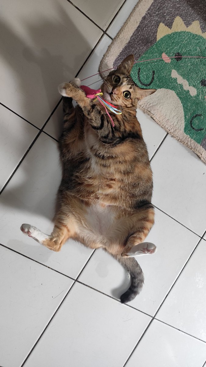 No_Vicka tweet media