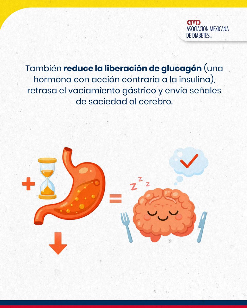 Asociación Mexicana de Diabetes tweet media
