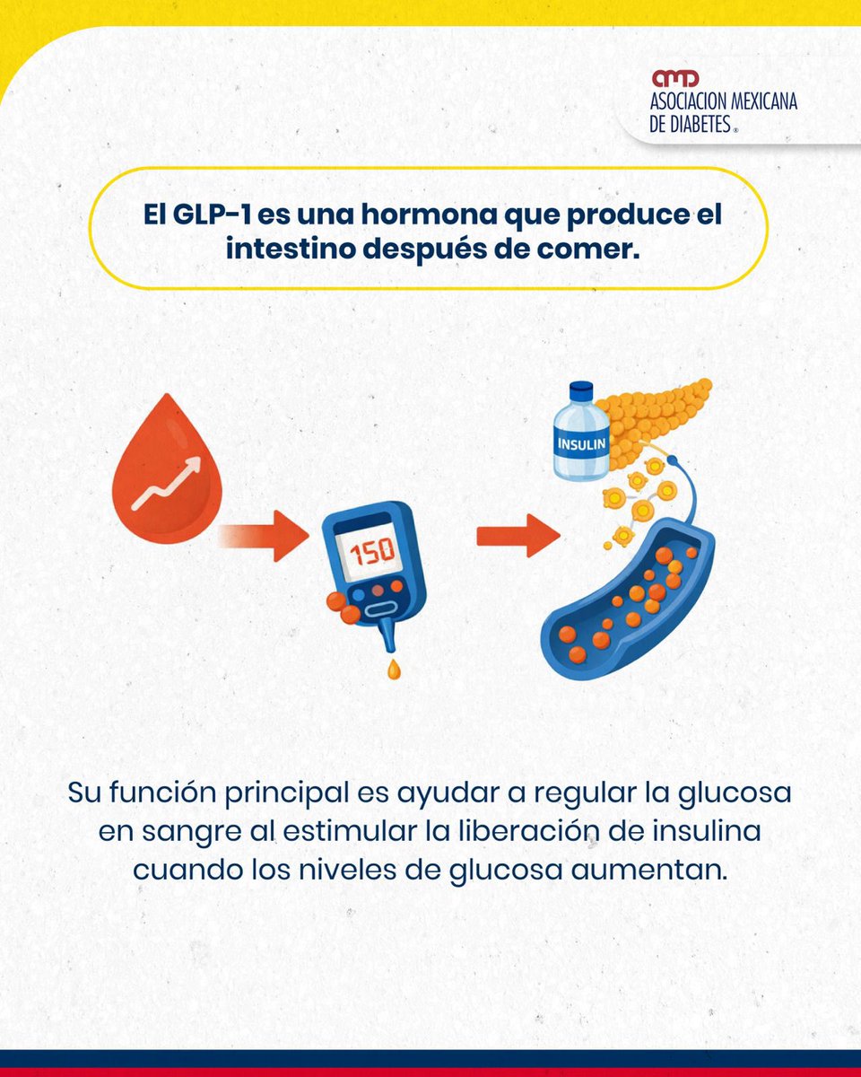 Asociación Mexicana de Diabetes tweet media