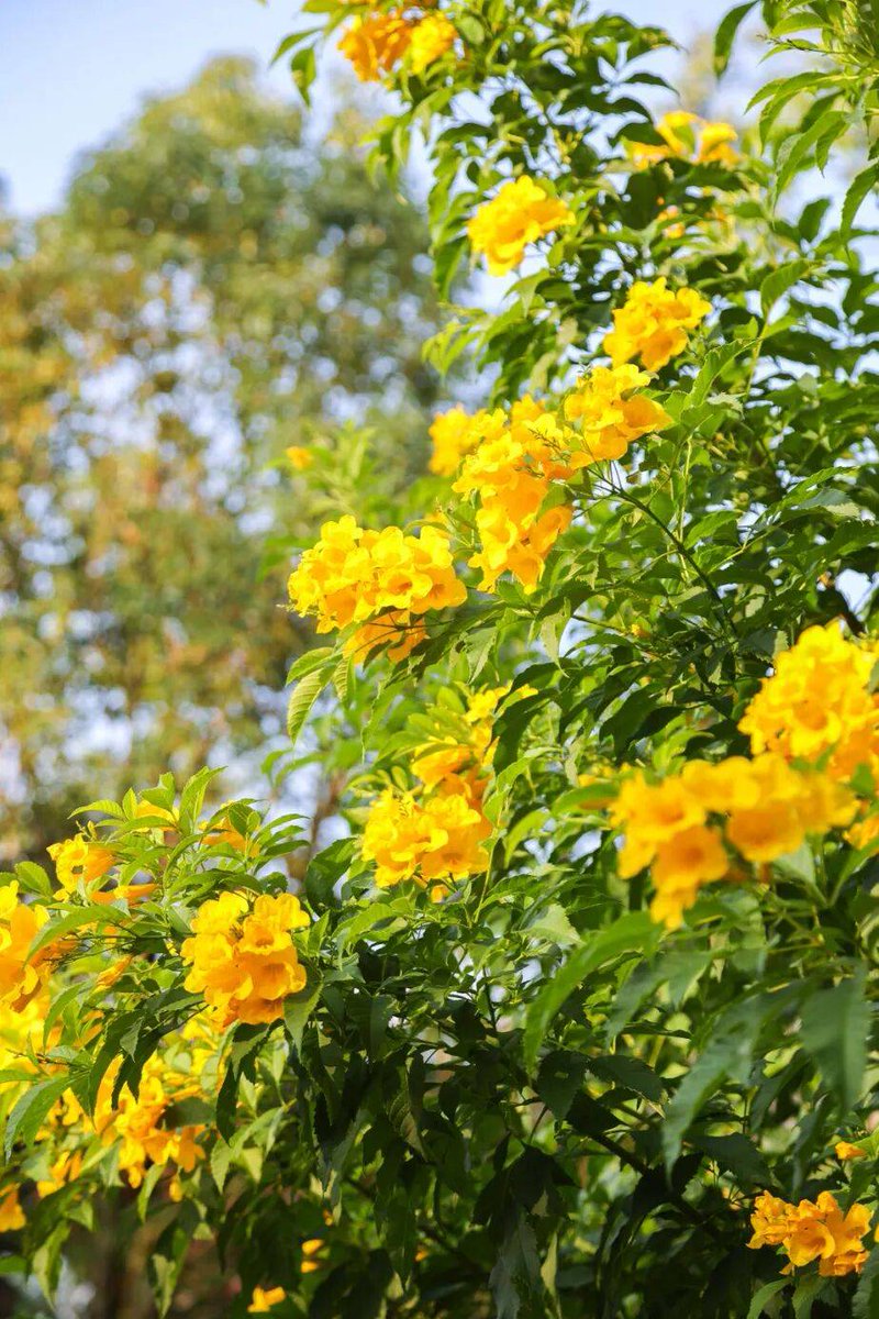 Edgar Parra tweet media