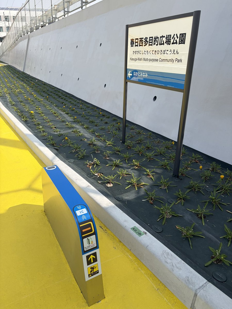 𝗧𝗼𝗻𝗲 🇮🇹 tweet media