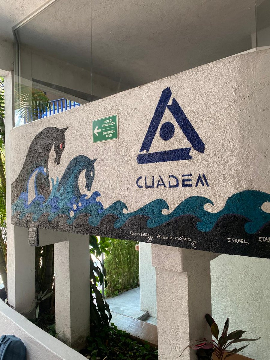 FedesspMorelos tweet media