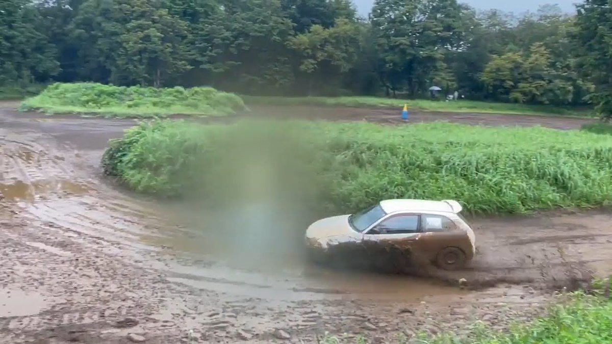 豚速鈍行 tweet media