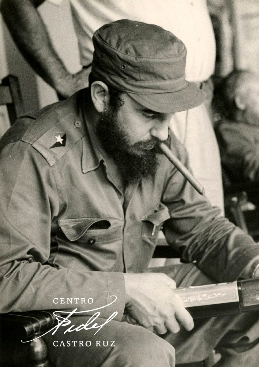 Graciela Almeida tweet media