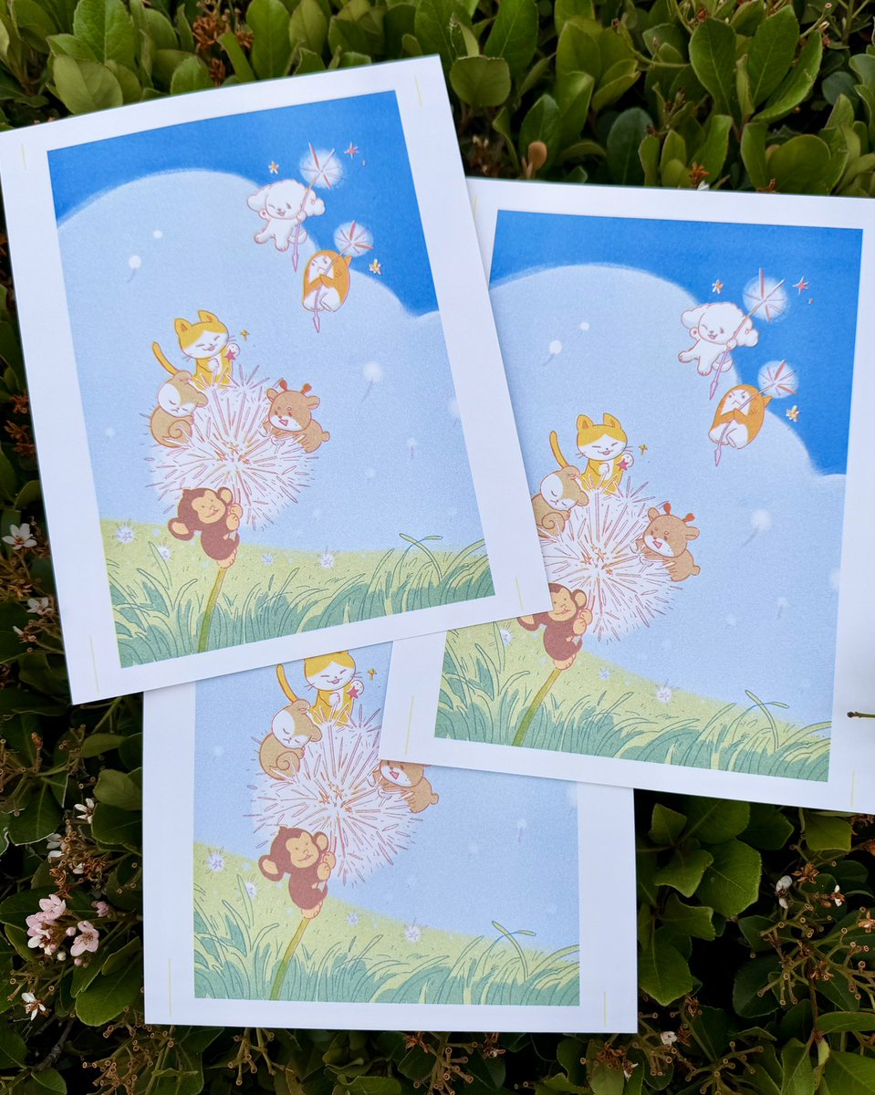 Clare 클레어🍊slow tweet media