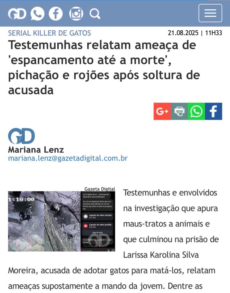 zenith caroline tweet media