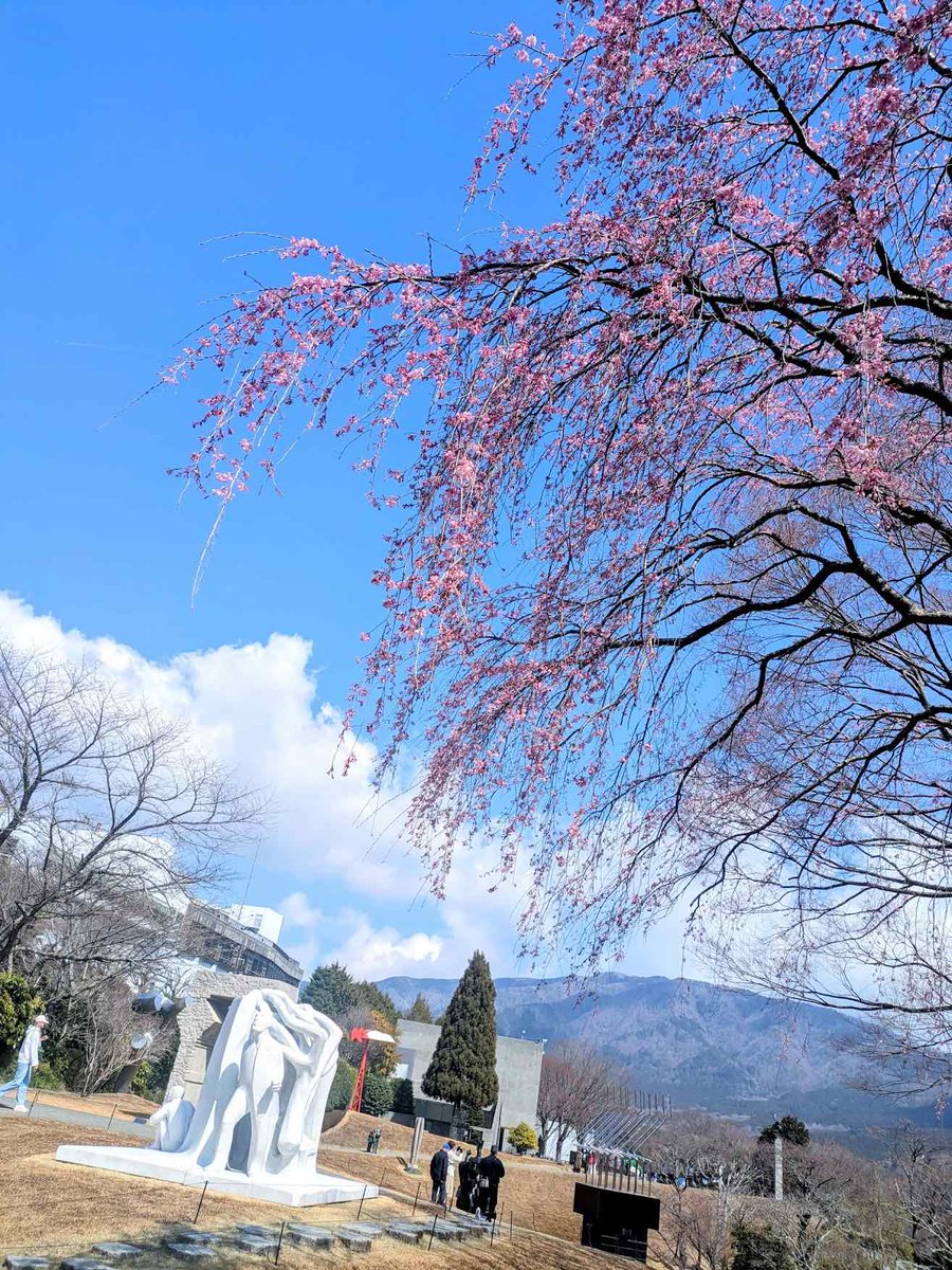 彫刻の森美術館 tweet media