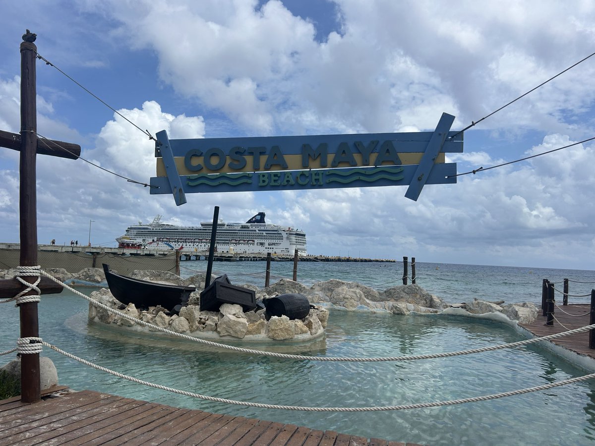 cenim's tweet photo. @1pcornwell Taken this afternoon ♥️ https://t.co/SdWOCuD0KH