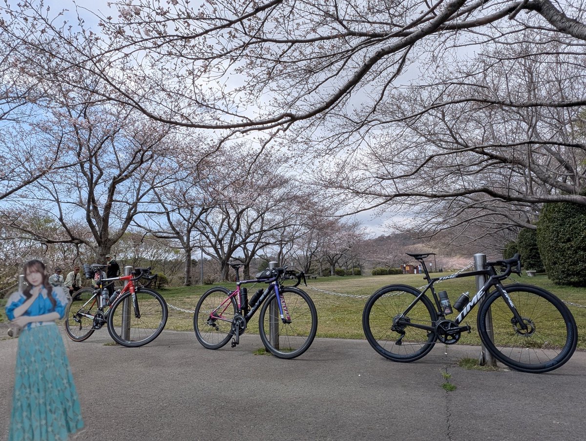 とぴお tweet media