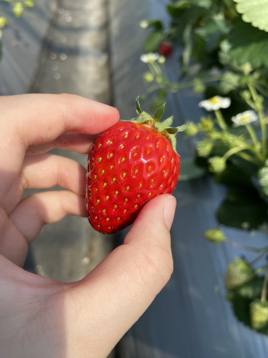 あいげむ tweet media