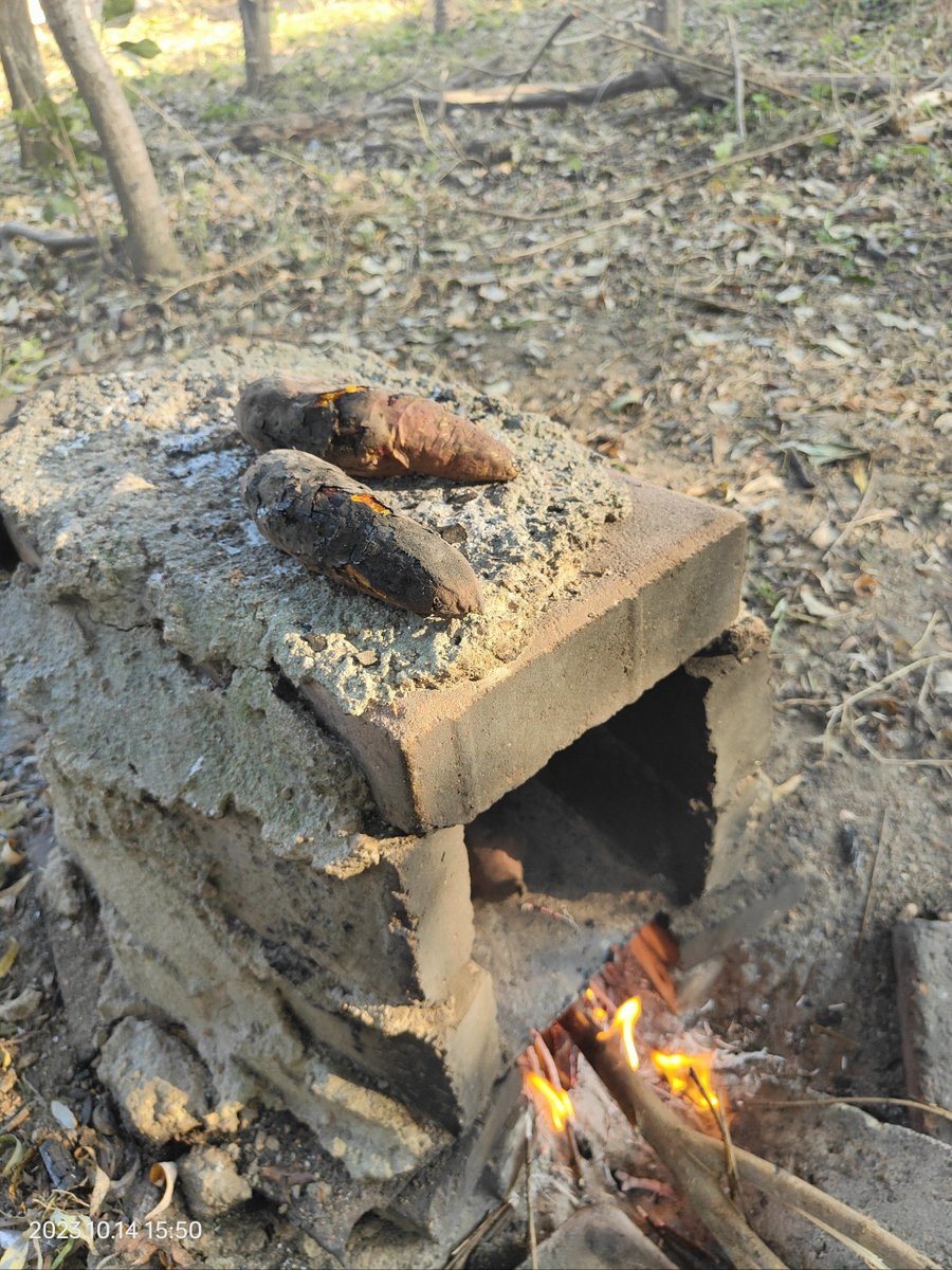 JOSEPH CEULEMANSJ tweet media