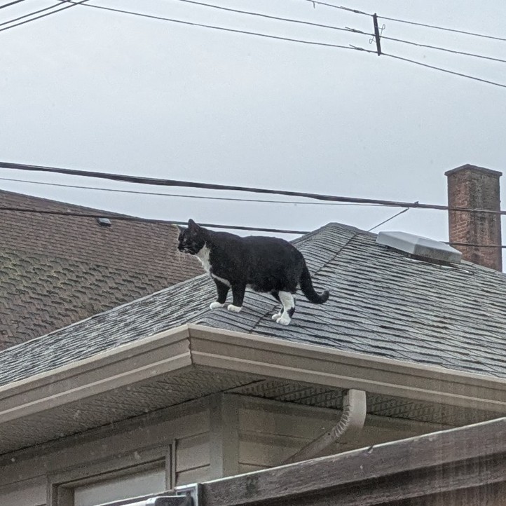 Welonz @ 🦋 tweet media