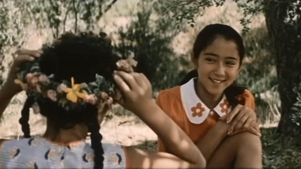 本町文化堂📖（2024/3/16開店） tweet media