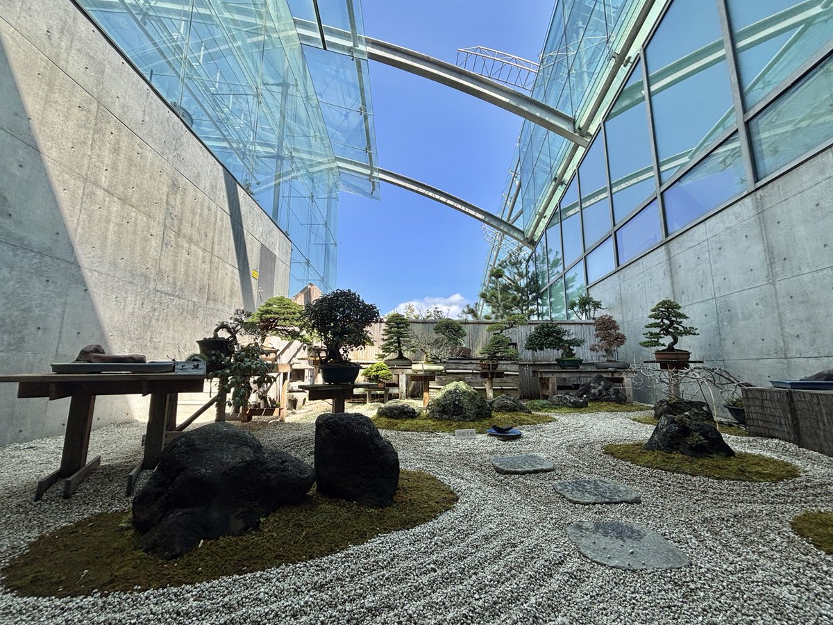 にんじゃ tweet media