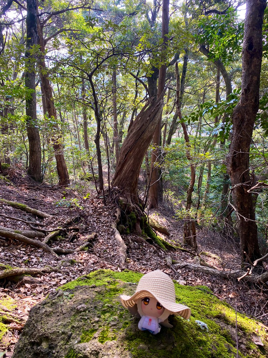 ままならないね tweet media