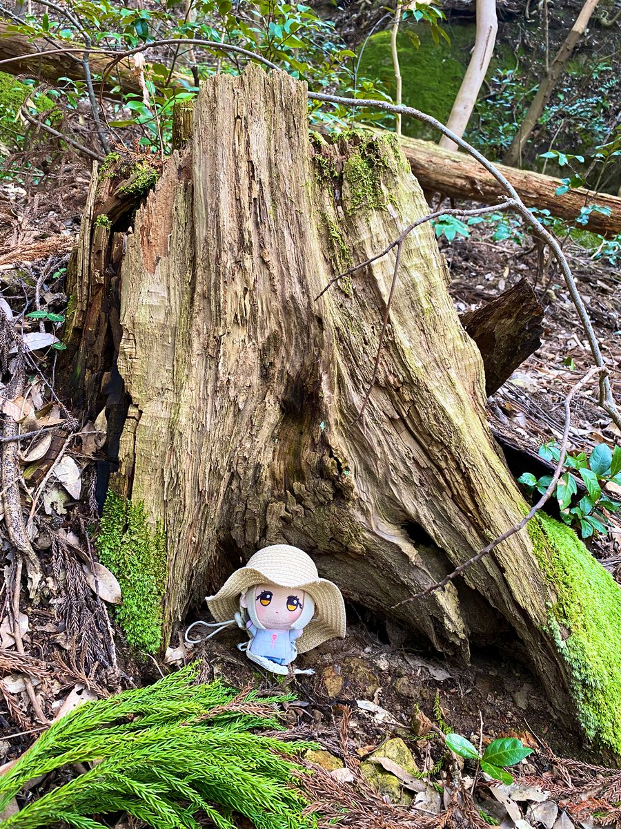 ままならないね tweet media