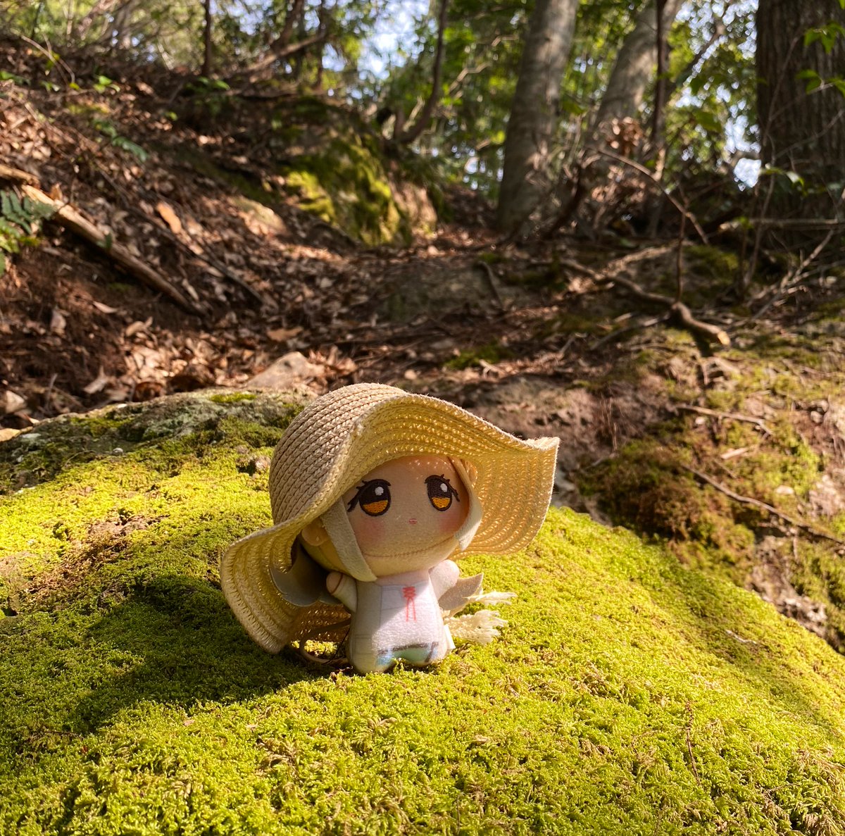 ままならないね tweet media