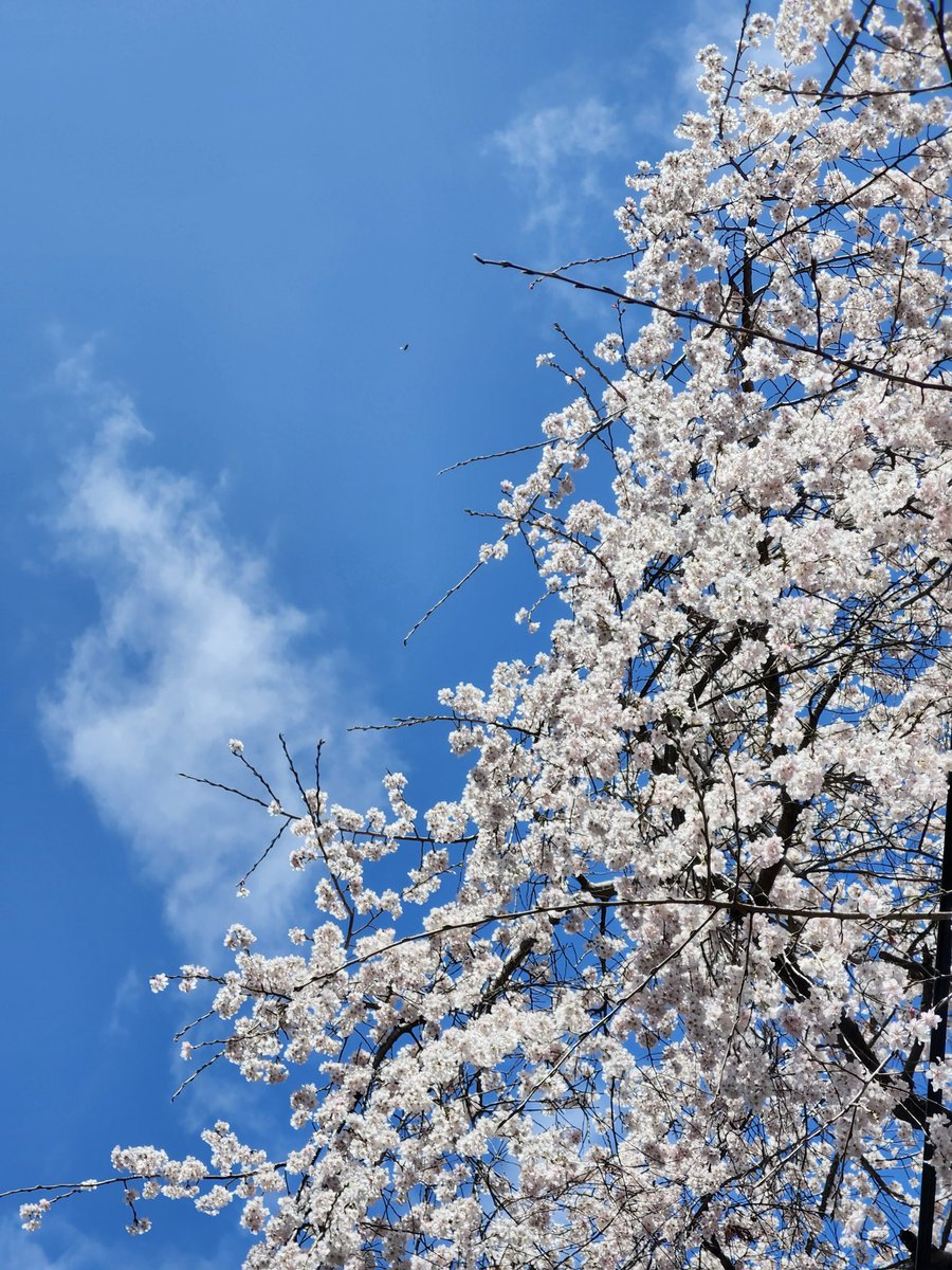 るんりん tweet media