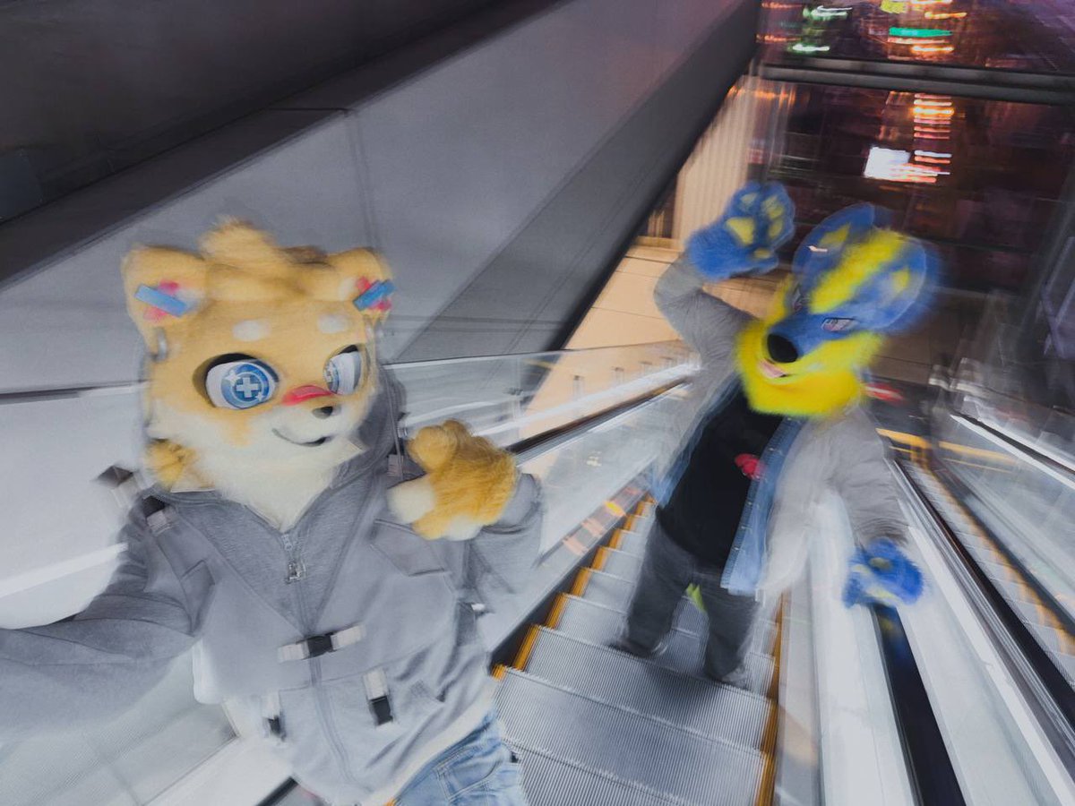 Coffee wolf ☕🐺🌸 tweet media