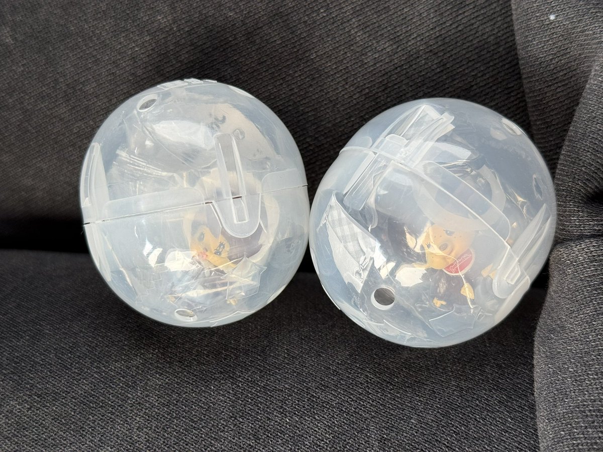 n. 固ツイ必読 tweet media