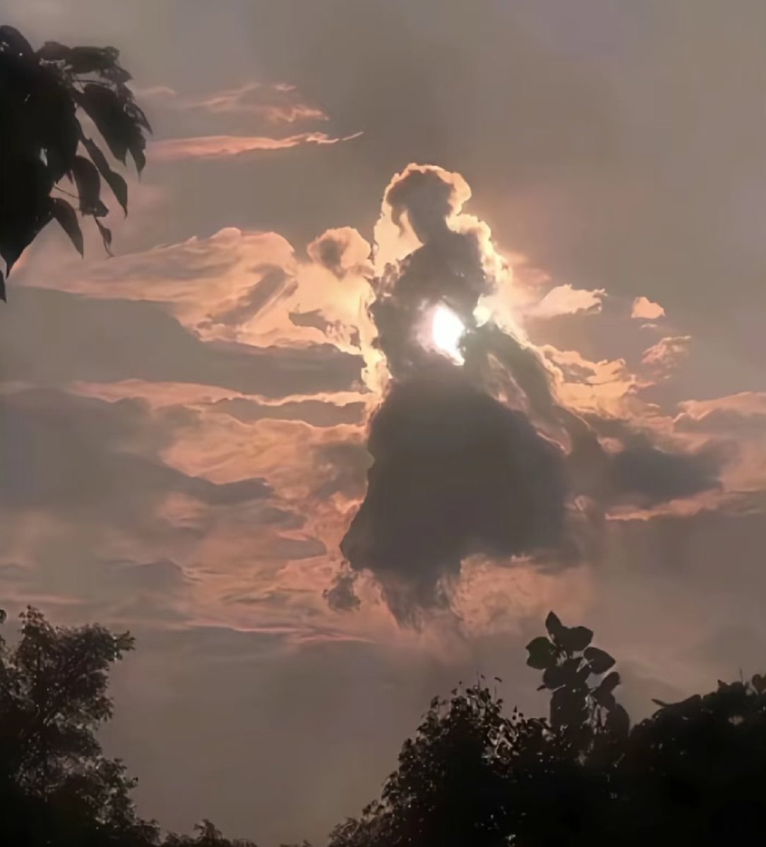 面白ツイート図鑑 tweet media