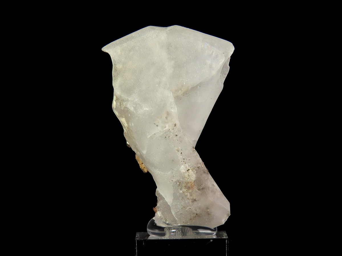 Oiseau Minerals（わぞみねらるず） tweet media