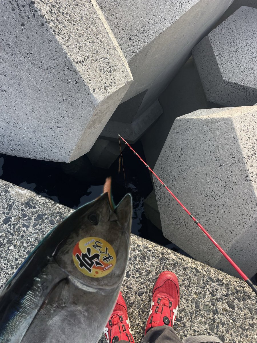 ナベちゃん半ズボンの人（二代目） tweet media