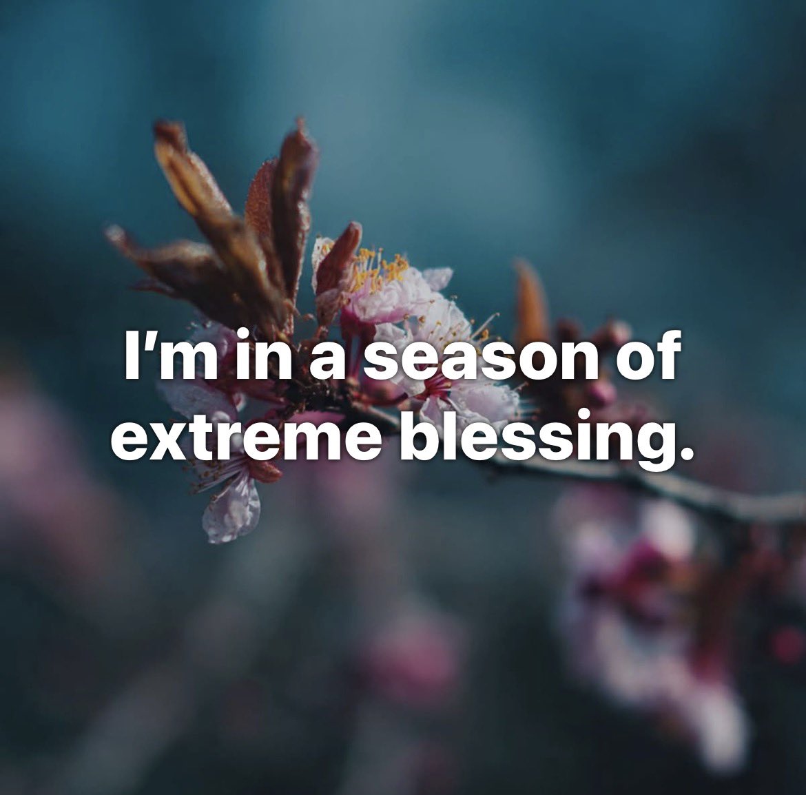 Tyler Ethridge tweet media