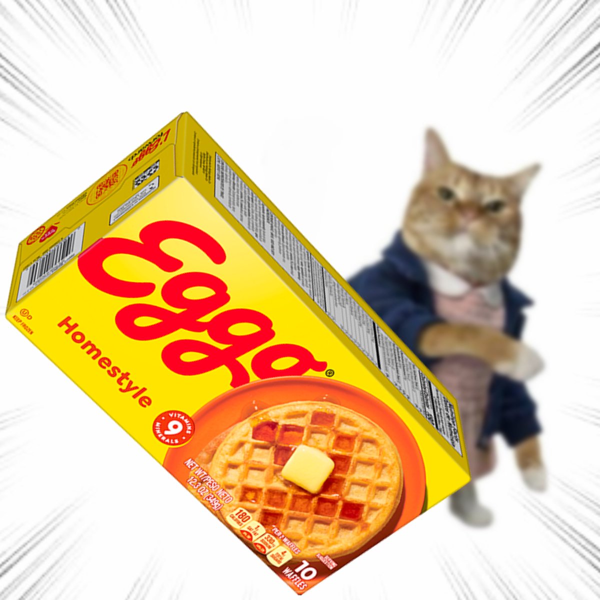 Throwing Things Daily tweet media