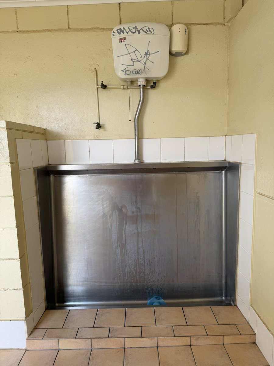 Dans Gay tweet media