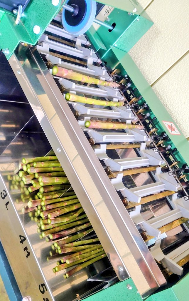 選別機も清掃して今年初の選果作業

#宮城栗原産アスパラガス